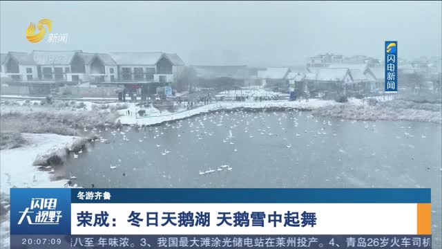 【冬游齐鲁】荣成：冬日天鹅湖 天鹅雪中起舞