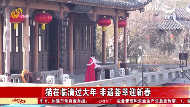 猫在临清过大年 非遗荟萃迎新春