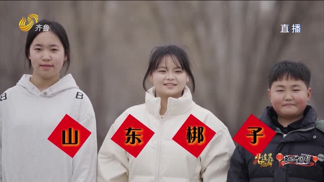 非遗里的中国年·山东梆子