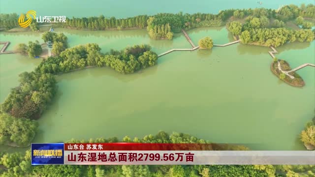 山東濕地總面積2799.56萬畝