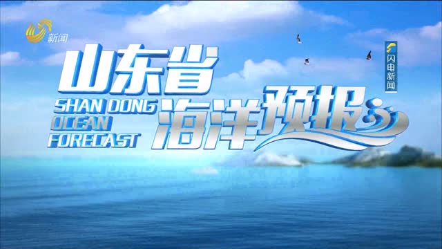 2025年02月06日《山东省海洋预报》