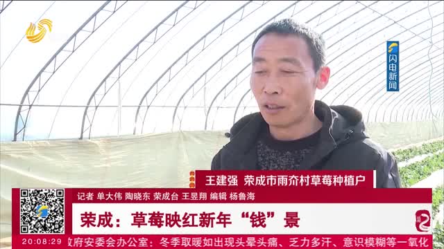 荣成：草莓映红新年“钱”景