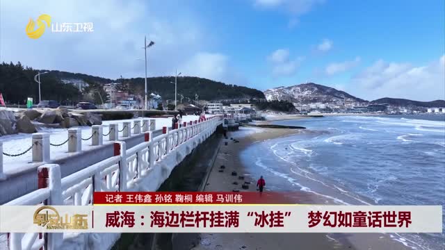 威海：海边栏杆挂满“冰挂” 梦幻如童话世界