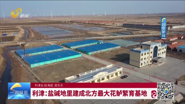 利津：盐碱地里建成北方最大花鲈繁育基地