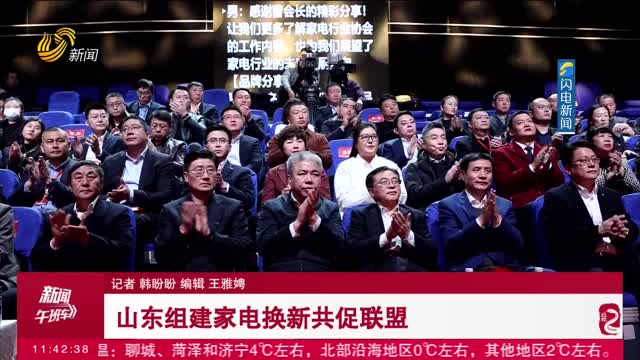 山东组建家电换新共促联盟