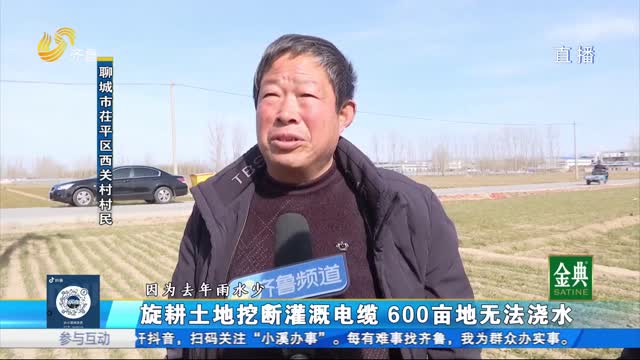 旋耕土地挖斷灌溉電纜 600畝地?zé)o法澆水