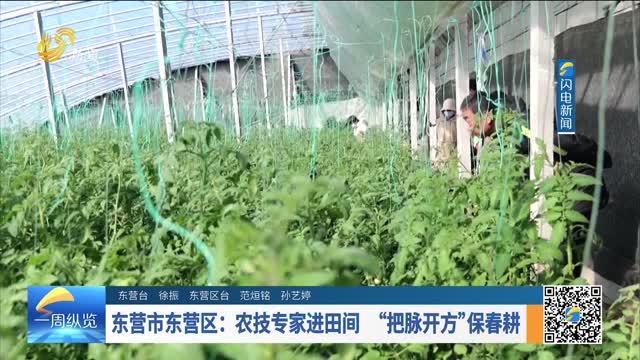 东营市东营区：农技专家进田间 “把脉开方”保春耕