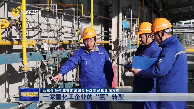 一家重化工企業(yè)的“氫”轉型【堅定不移推動民營經濟高質量發(fā)展】