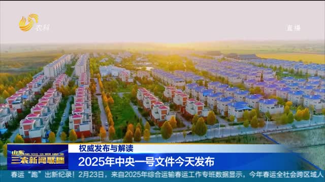 【权威发布与解读】2025年中央一号文件今天发布