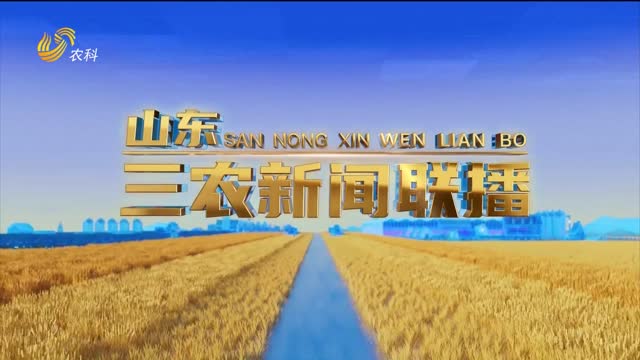 2025年02月23日山东三农新闻联播完整版