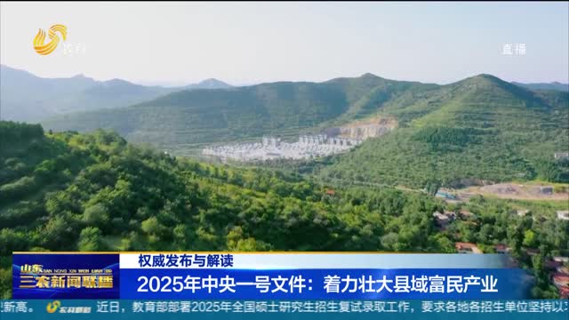 【权威发布与解读】2025年中央一号文件：着力壮大县域富民产业