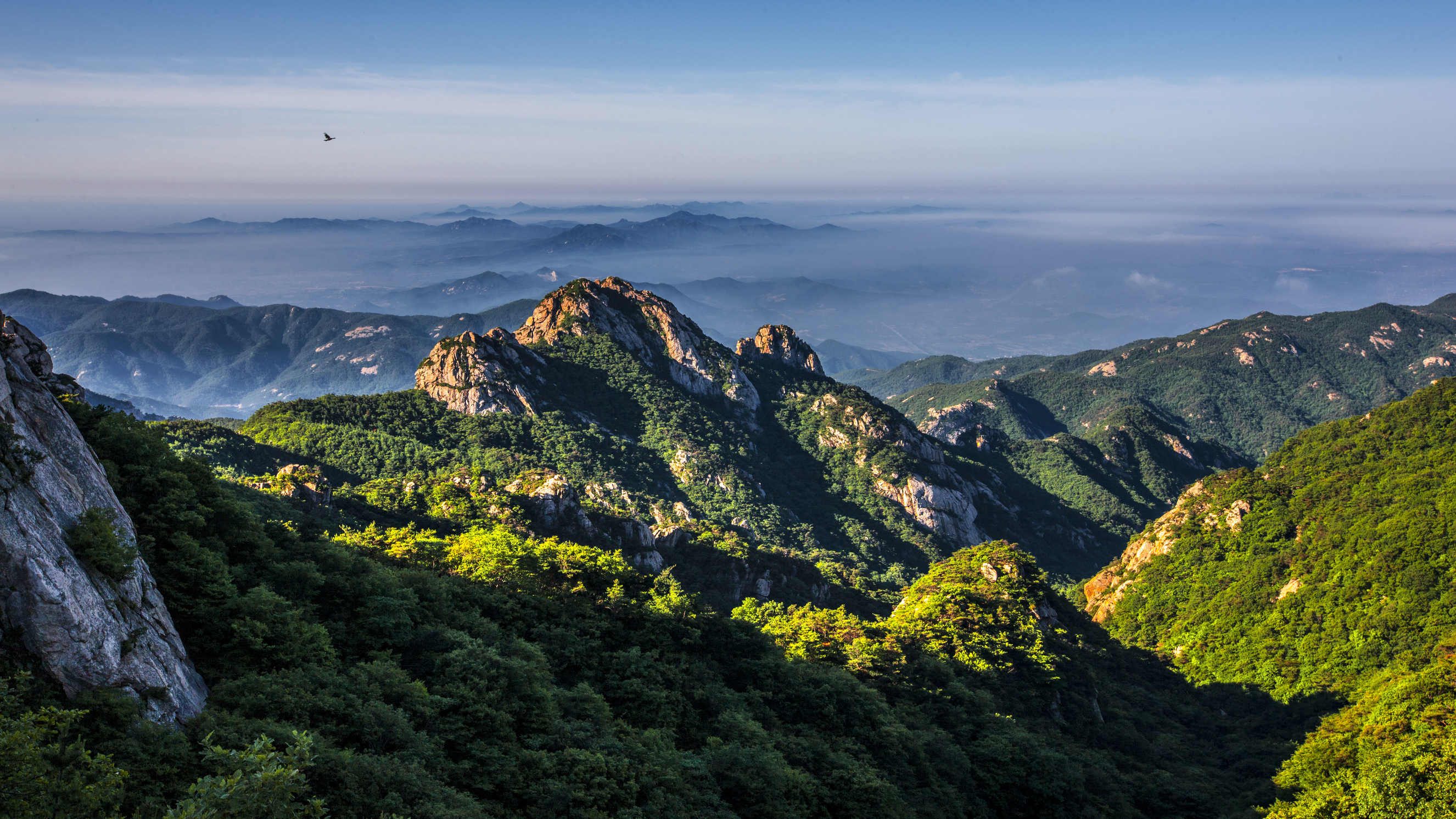 昆嵛山区行政区划图片