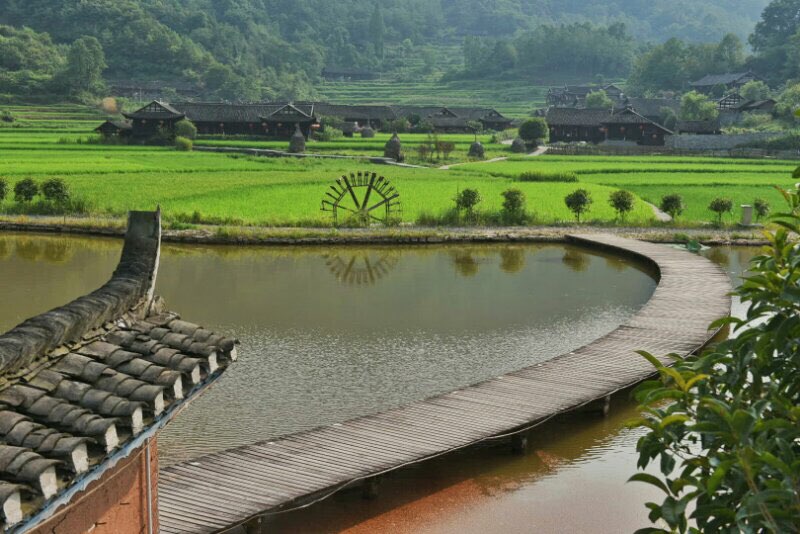 土家菜馆：品尝地道风味的新选择