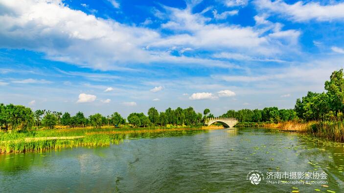 央视绿色中国3分钟直播济西湿地生态之美惊艳全国