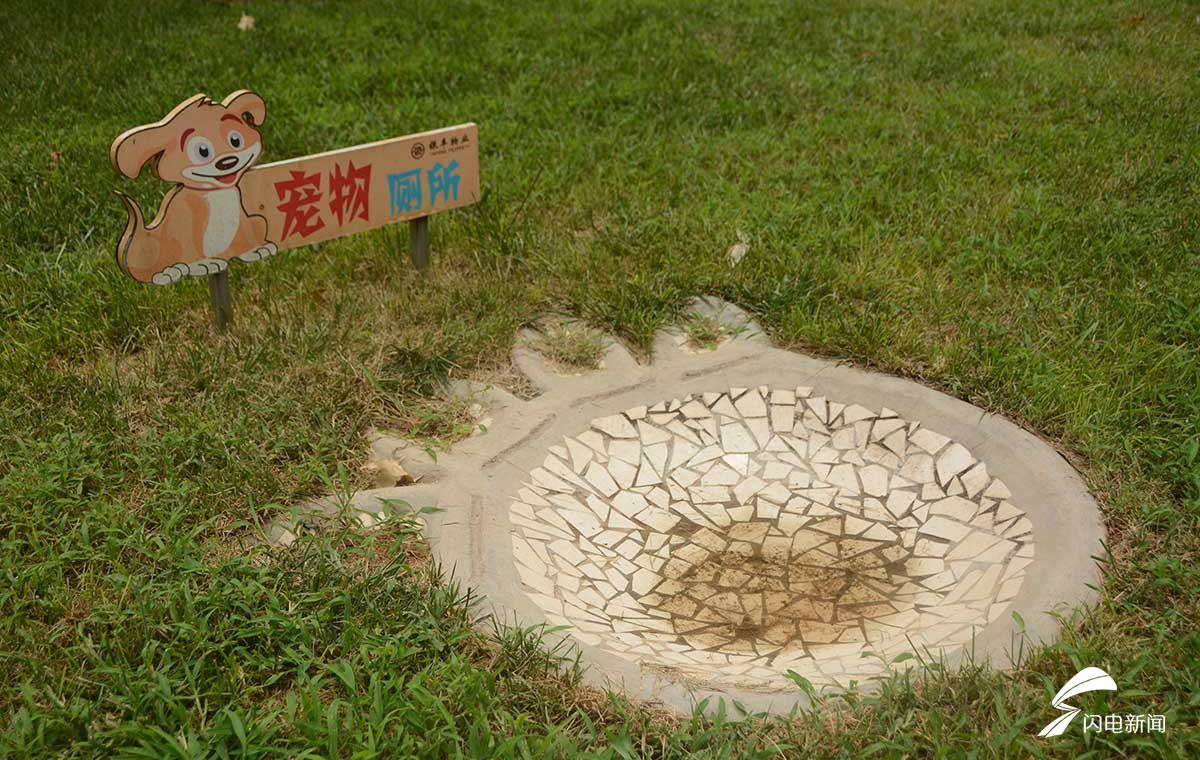 文明养犬有新招济南多小区get宠物便便箱