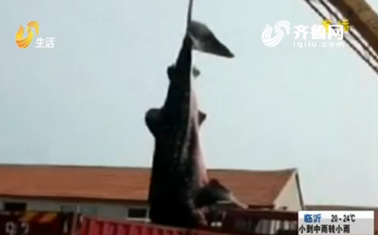 043ffd94e13c63d3ec141880fc49e64b.png QQ图片20170905214657.png