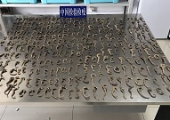 济南邮政口岸截获非法入境干海马 属历年最大批量