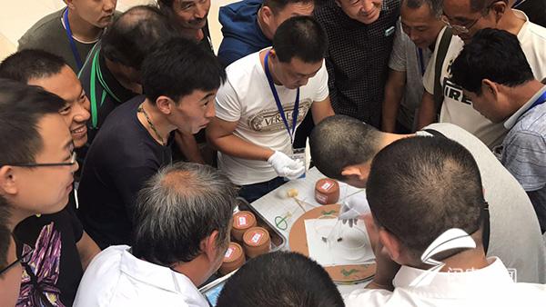 23秒宁津蟋蟀大赛开战过五关斩六将争当蟋蟀界虫王