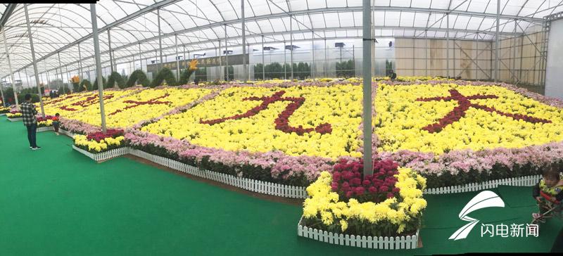 桂花苗木批发基地电话