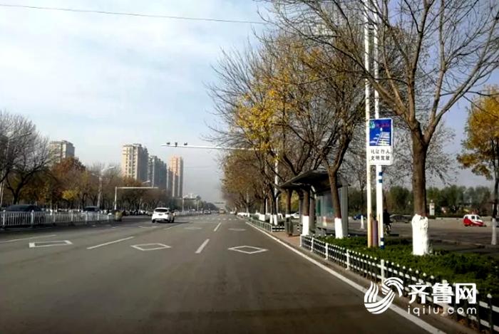 临清城区新增一处机动车不礼让斑马线抓拍设备