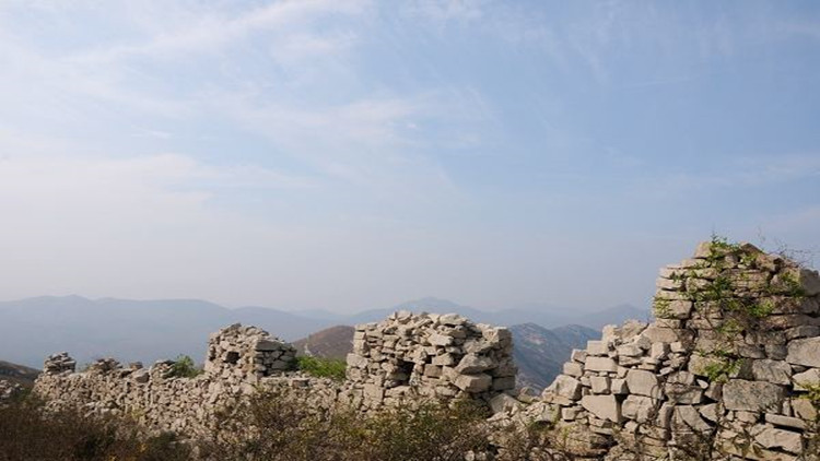 2017年莱芜市经济总量_莱芜市人民医院图片(3)