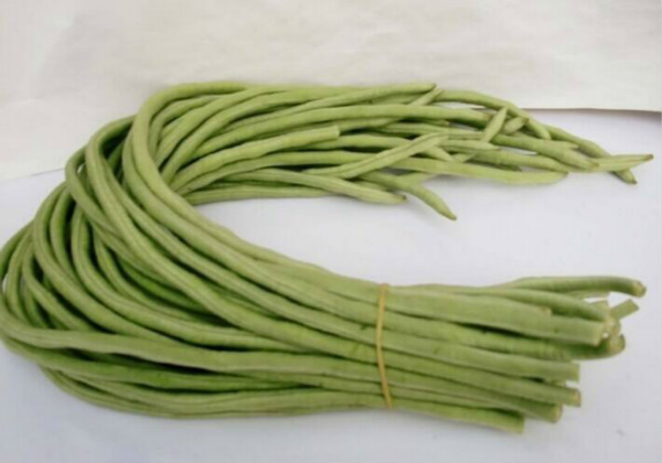 今晚1910小豆角藏大学问民生实验室教您科学食豆角