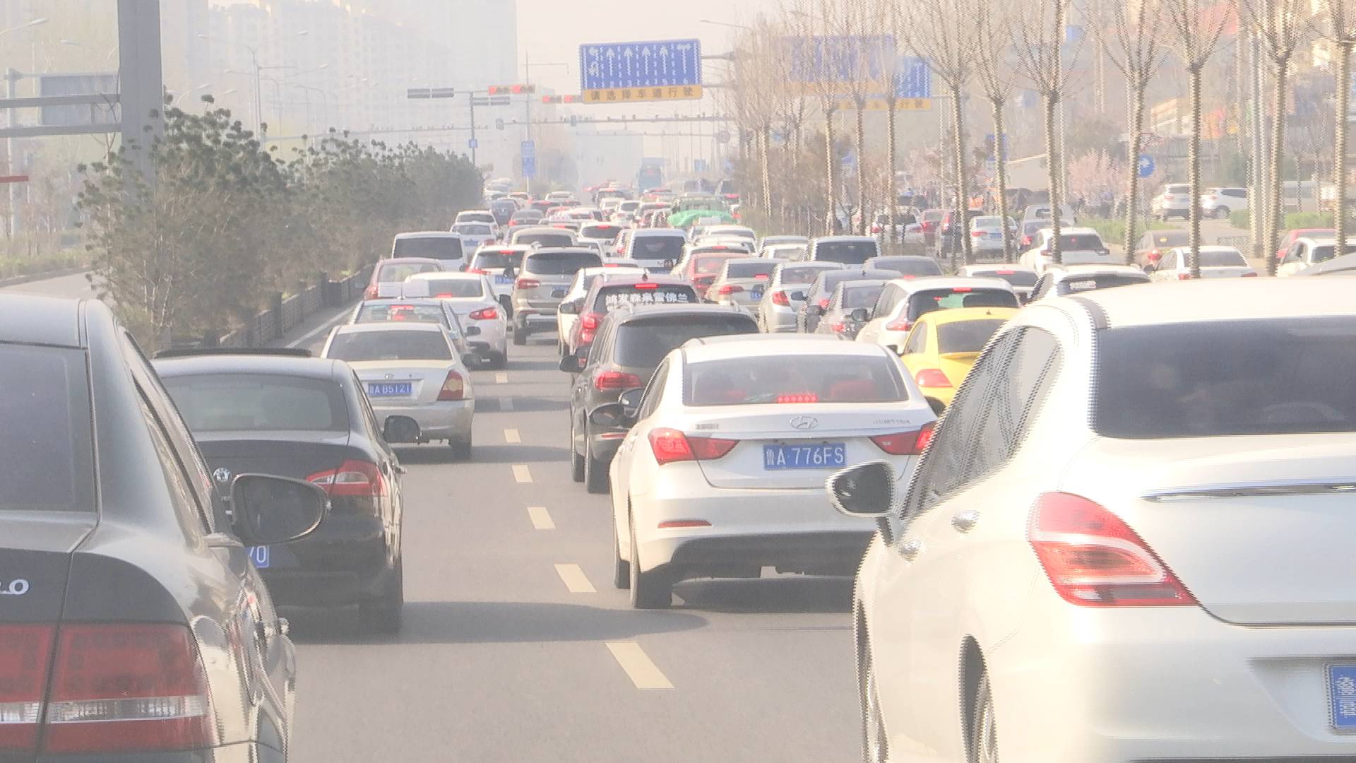 济南周末赏花踏青扎堆各大景区附近交通拥堵