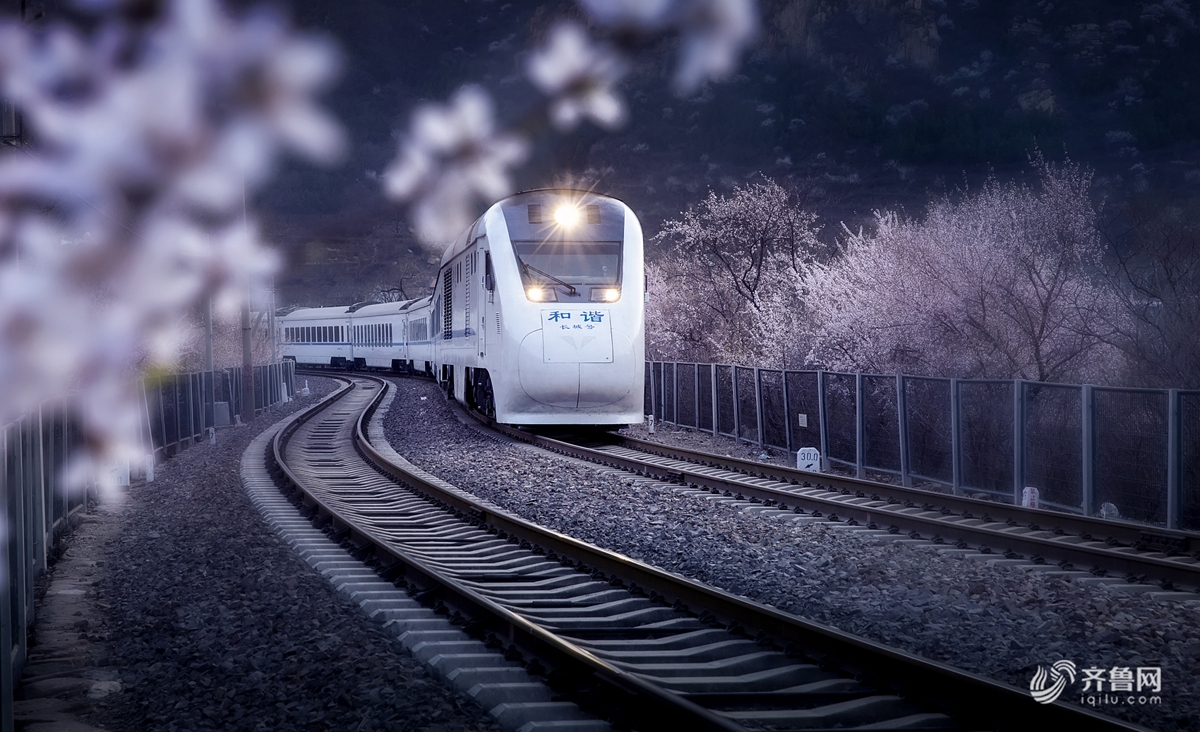 长城脚下山花怒放花海与列车在春天里相遇