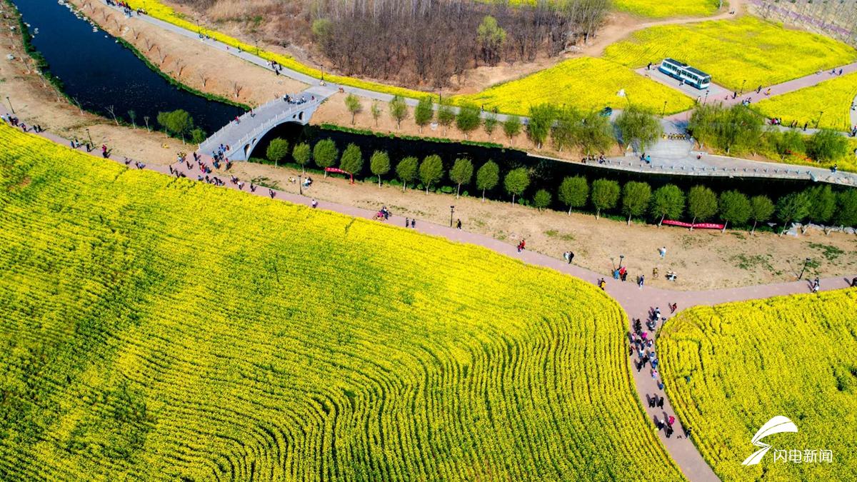 3月31日,山東交通學院校園的