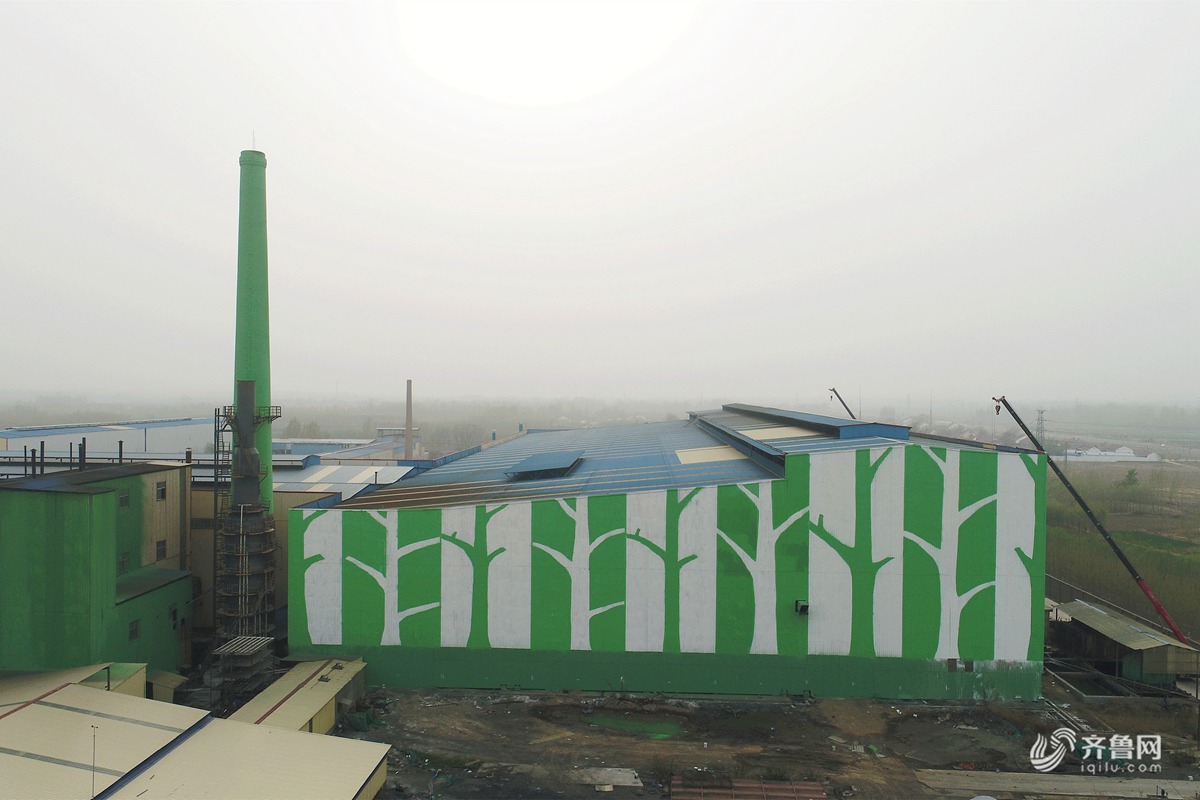 惊现绿色森林 滨州创意墙绘扮靓老厂房