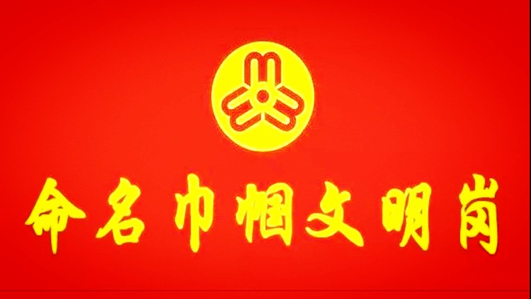 征集 青岛市巾帼文明岗的logo,岗徽,岗旗的样式设计请您参与