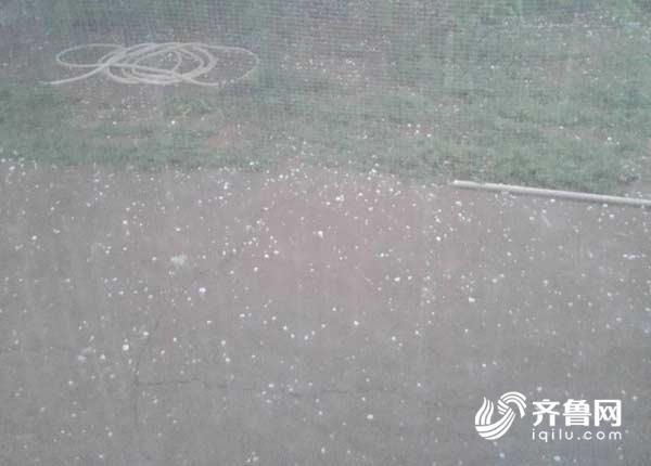 微信圖片_20180613135204.jpg