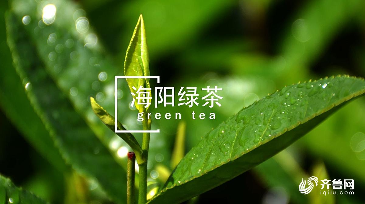 奶白茶贵吗