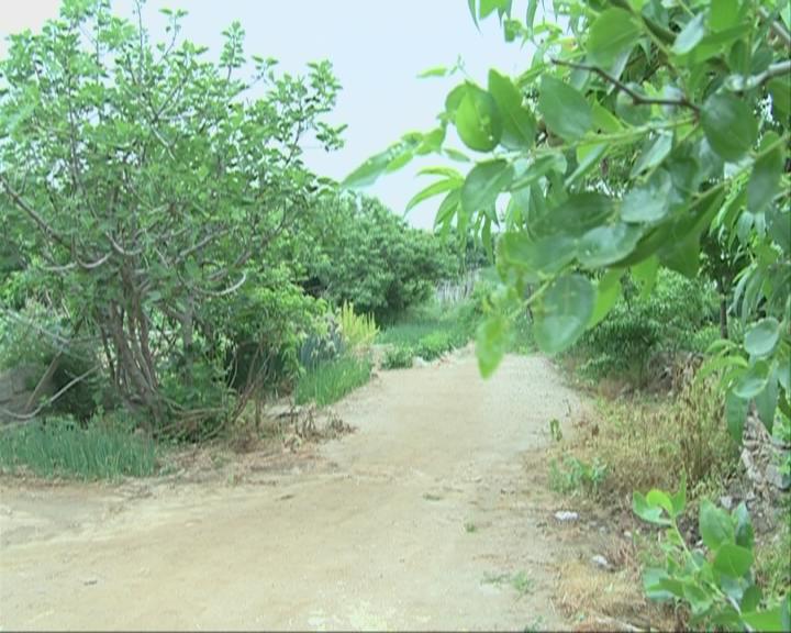 荣成市崖头街道海崖村村民徐承连说,王书记来俺村啊 确实大伙都挺高兴