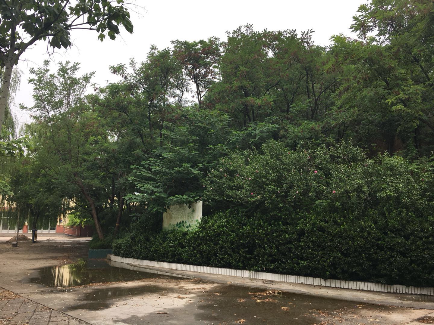 纪国故城看遗迹