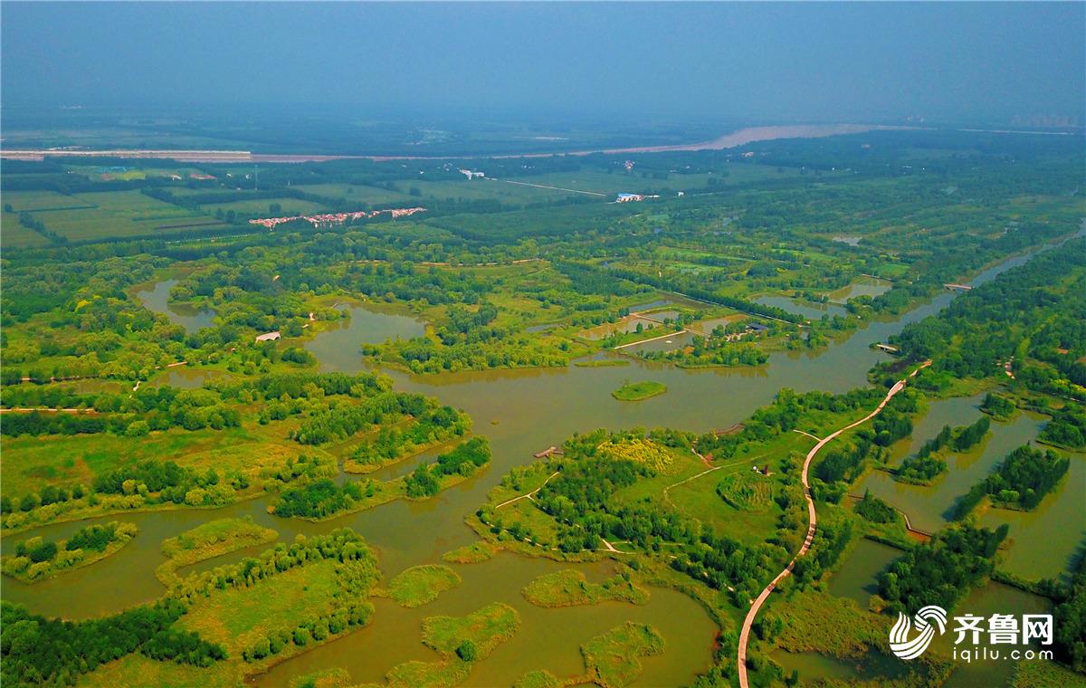 济西国家湿地公园雨后更显静美