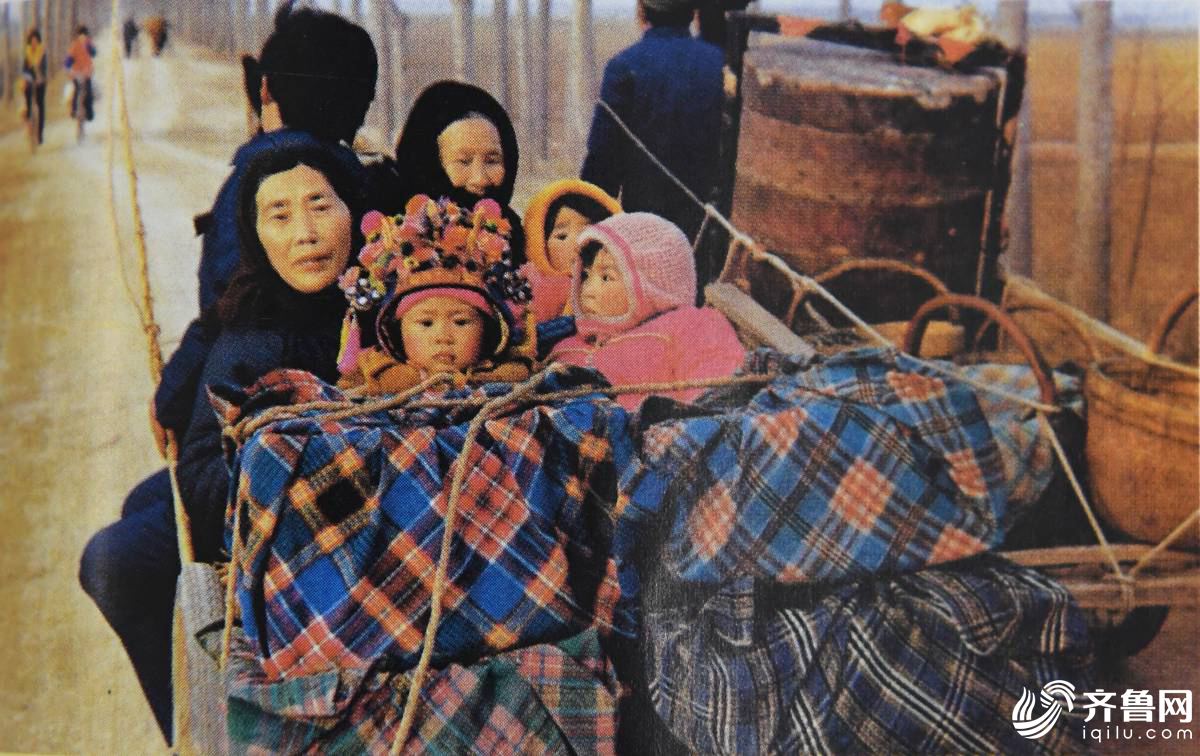 这是八十年代初,山东农民乘坐马车过年走亲戚.