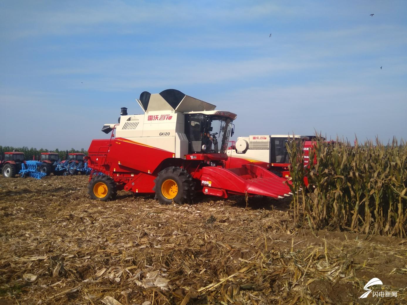 雷沃谷神收割双雄 高效助力秋收