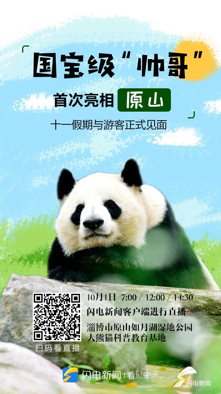 0930-熊猫.jpg