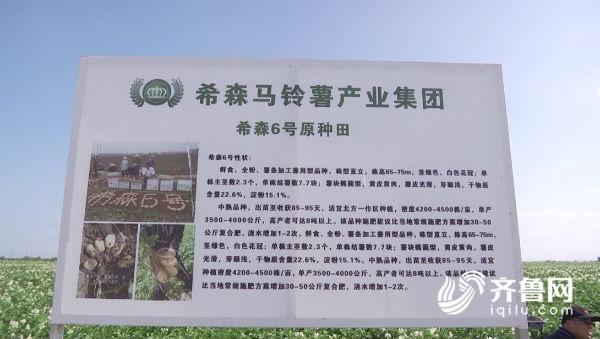 希森6号土豆在哈萨克斯坦获得官方认证列入补贴目录