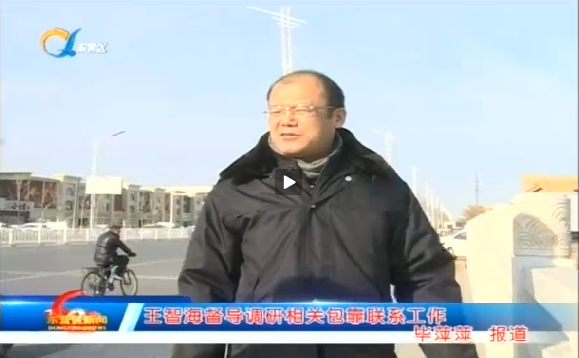 东营区副区长王智海督导调研相关包靠联系工作