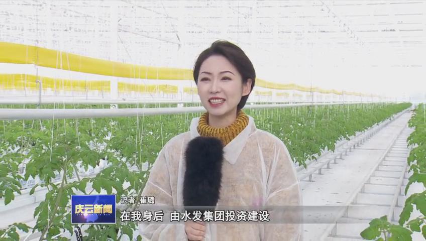 庆云县水发现代农业产业园智慧大棚项目稳步推进