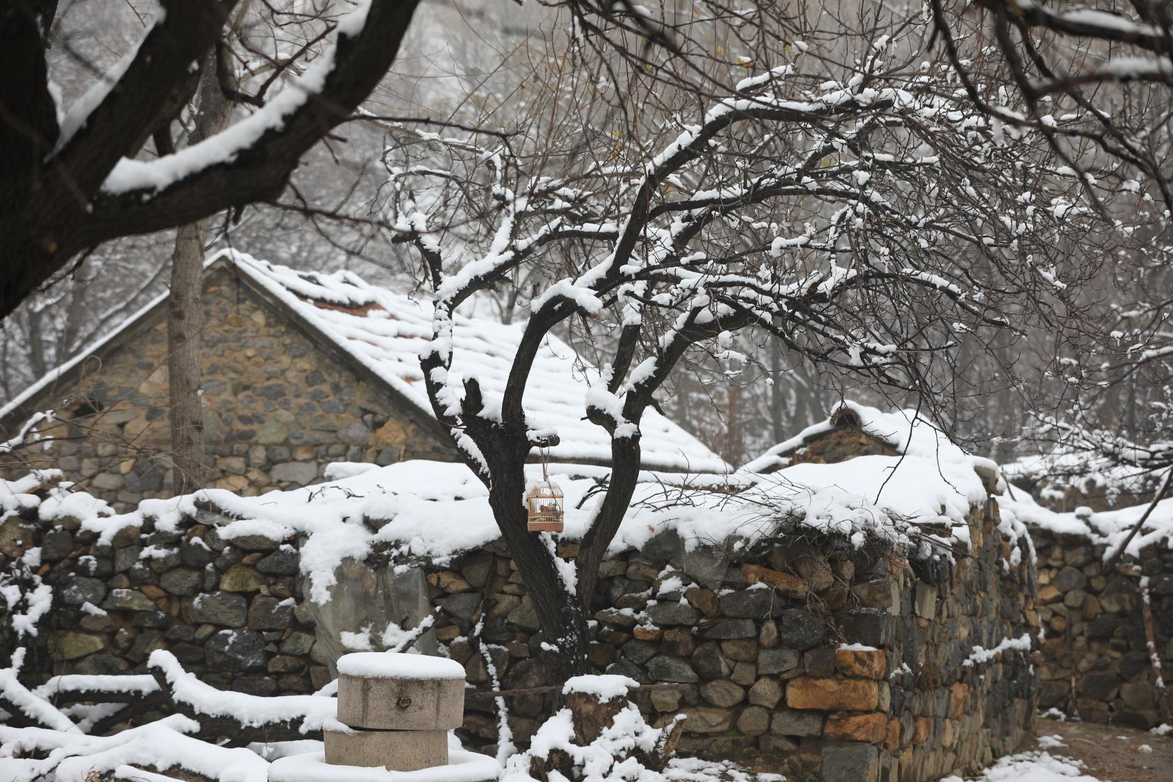 入冬第七场雪一觉醒来五莲已经美成了这个样子
