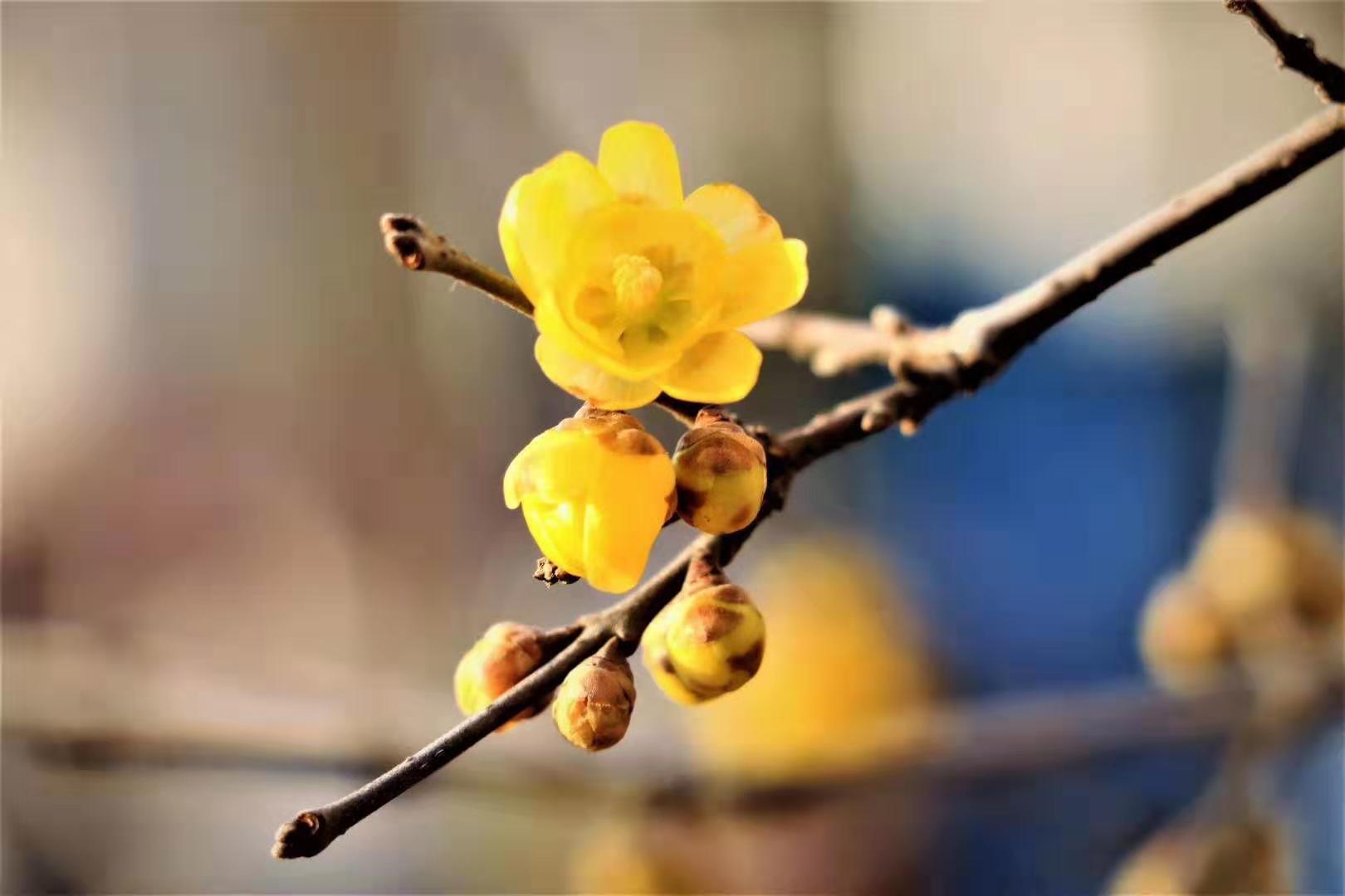 微信图片_20190226141100.jpg