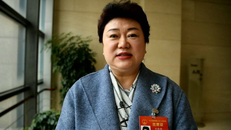 全國人大代表劉曉靜：政策上支持文化藝術(shù)人才建設(shè) 發(fā)掘和培養(yǎng)優(yōu)秀文化藝術(shù)人才