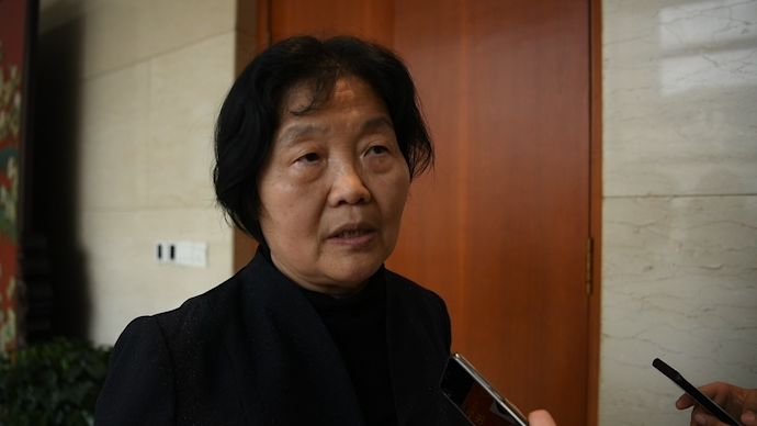 全國人大代表趙冬苓：建立污點(diǎn)藝人有序、合規(guī)、合法懲戒機(jī)制