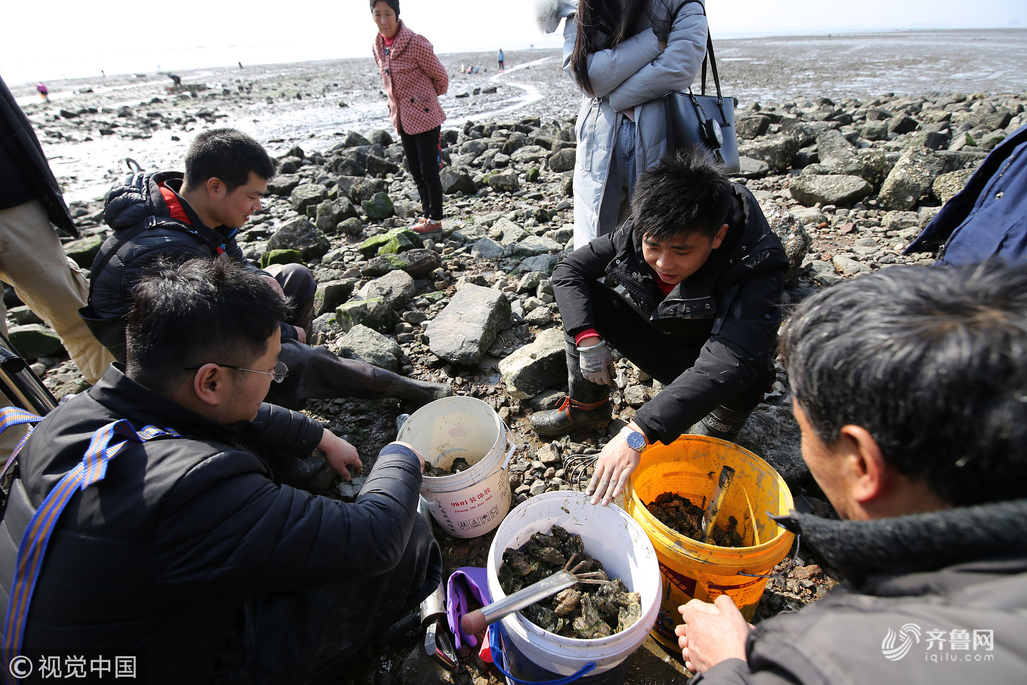 组图丨青岛市民海边享受赶海乐趣 捕捉蛤蜊海蛎子等小海鲜