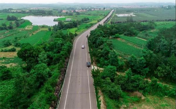 在滕家镇东滩村至小落桥路段,十几名工人正在道路两旁栽植法桐等绿化