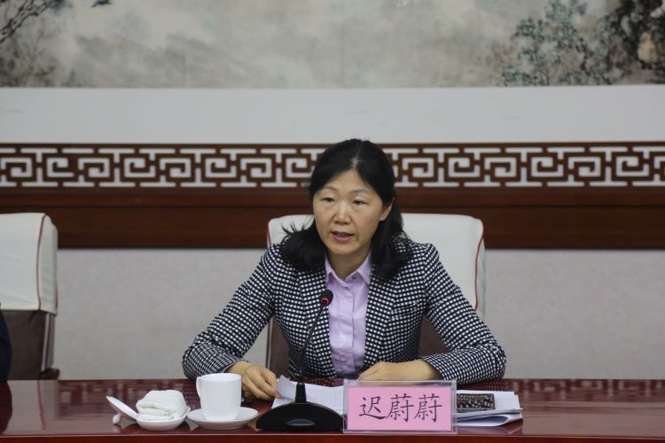 武城县顺利通过国家卫生县城审核