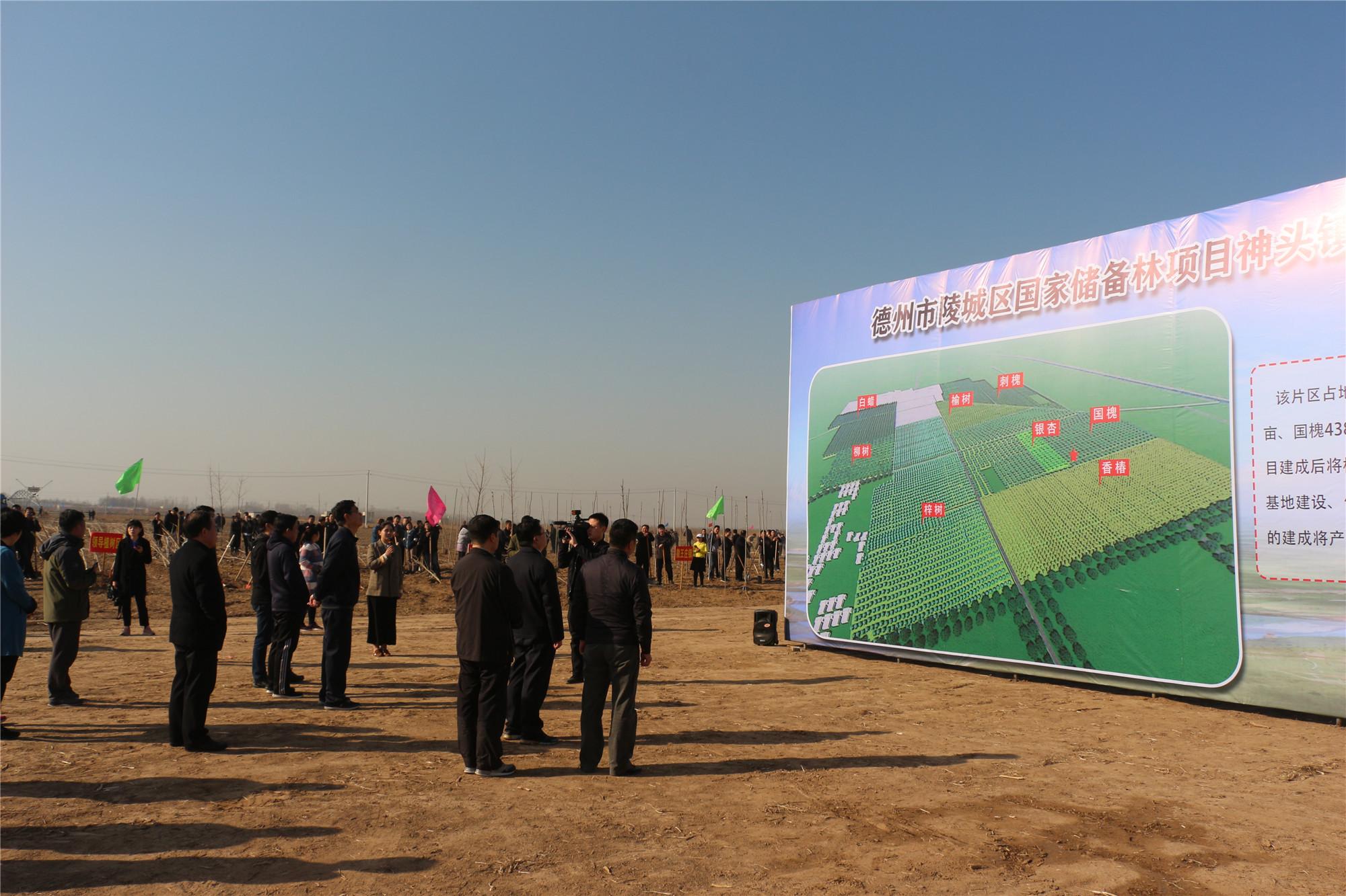 陵城区神头镇图片